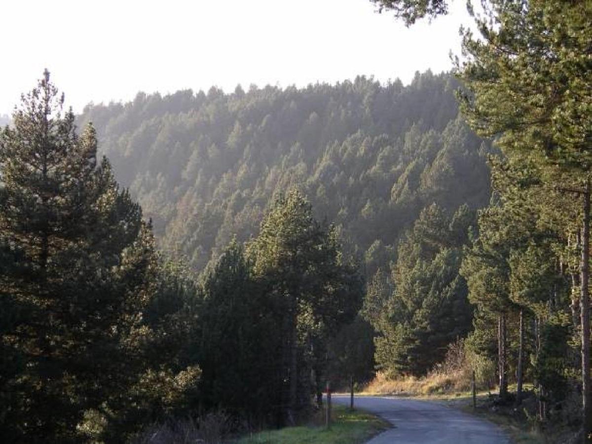 Ker Cartier Villa Bolquere Pyrenees 2000 Dış mekan fotoğraf